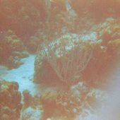  Lighthouse Reef, Belize